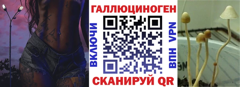 Купить закладки  Сясьстрой  Галлюциногенные грибы мухоморы 